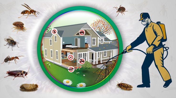 Dikili Böcek İlaçlama