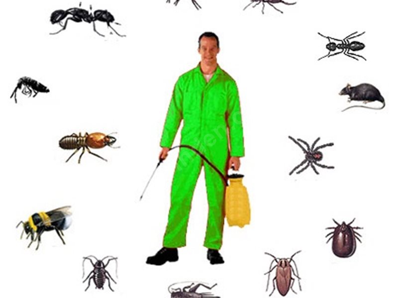 Dikili Böcek İlaçlama